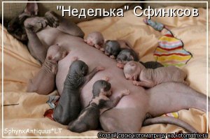 Удачи Вам!