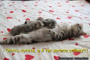Удачи Вам!