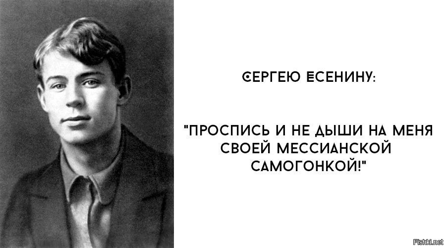 Ленивый жаккард спицами: подробное описание Купить растения, продажа и рассылка почтой