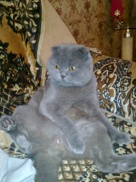 Мой. Ахахахахах