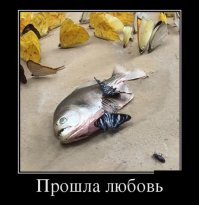 Это же "бабочки в животе"! Неужели ни кто не смотрел "Лиона"?
