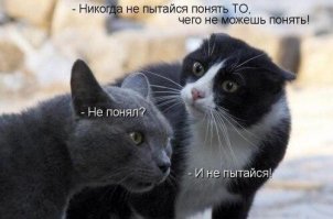 Котейки
