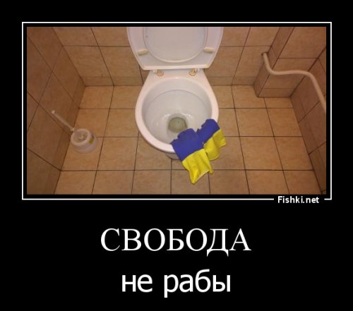 Новости желто-голубизма и не только