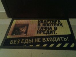 Прикольные фотографии