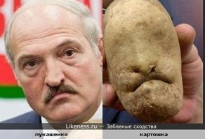 Овощи и фрукты причудливой формы