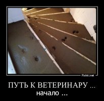 Из серии