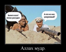 ЛАВРОВ СРАВНИЛ ВНЕШНЮЮ ПОЛИТИКУ США СО «СКОТНЫМ ДВОРОМ