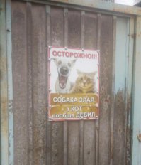 Смешные картинки