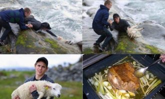 Смешные картинки
