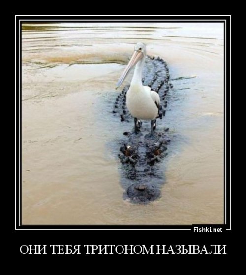 Смешные картинки