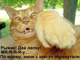 Подборка приколов