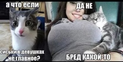 Не перевелись ещё женщины на Руси!