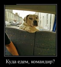 Автор сего демотиватора реально считает, что тот, кто сидит сзади, в багажнике, и есть водитель?