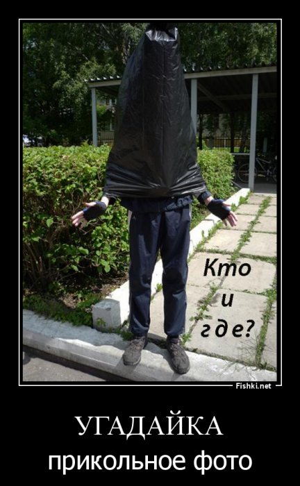 Прикольные картинки. Вечерний выпуск