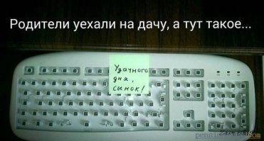 Прикольные картинки из сети