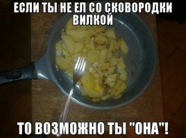 Прикольные картинки из сети