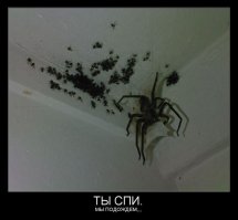 Прикольные картинки из сети