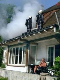 Прикольные картинки из сети