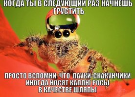 Немного юмора