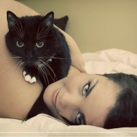 10 фотографий котов, сделанных в самый нужный момент