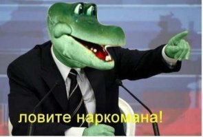 Welcome to