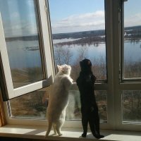 Добавил к обоям на рабочий стол)