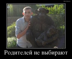 Подборка прикольных картинок