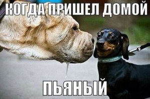 Фото подборка приколов