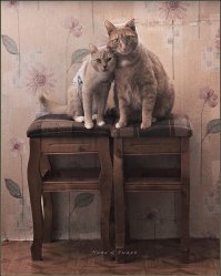 Семейное