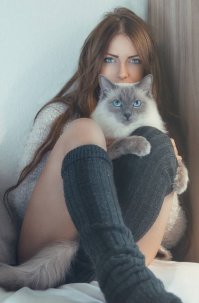 Выглядывающие коты