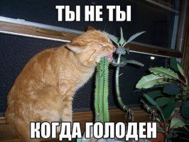 Подборка приколов