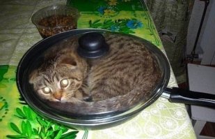 Некоторые любят погорячее...