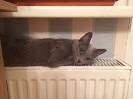Моя красавица!)