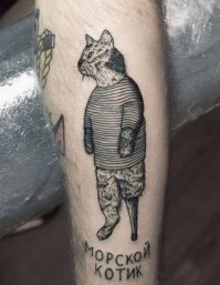 Морские котики