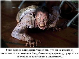 Пара к первому фото