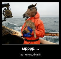 Панин всех полюбит