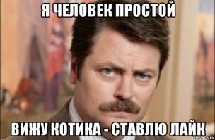 Золотое сечение объясняет любовь к котикам