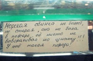 Мышь - бунтарка!