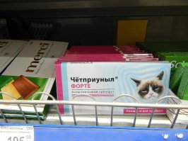 исполнено