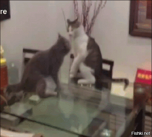 туше