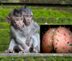 Попробую по новой