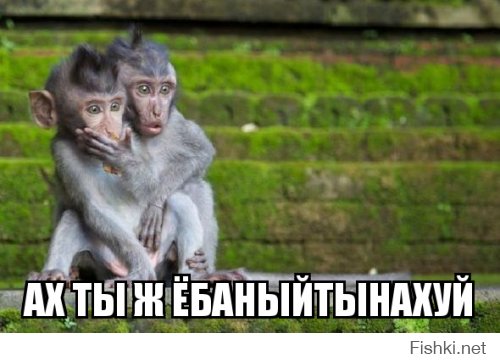 Попробую по новой