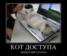 Котейкины