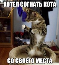 Котейкины