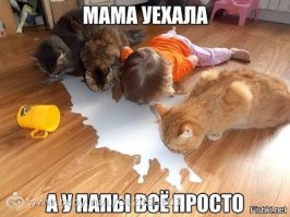 Котейкины