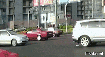 Солянка гифок
