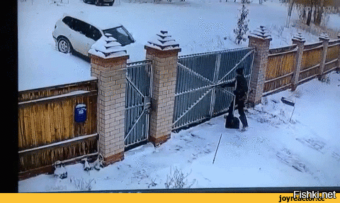 Солянка гифок