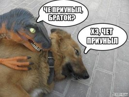 Если вы принесли радость - заходите без стука!