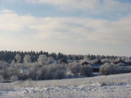 Леса около Покровки. Зима, декабрь 2014