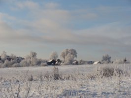Леса около Покровки. Зима, декабрь 2014